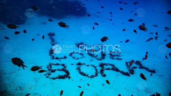 I Love Bora written with underwater stones