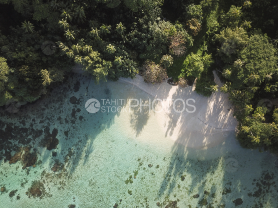 Tahaa, vertical aerial shot of the lagoon and coconut trees