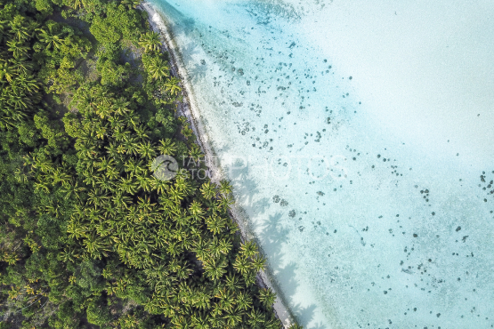 Tetiaroa, aerial shot of the lagoon and coconut trees