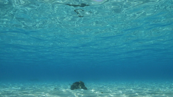 Moorea, turquoise water of the lagoon under the surface, slow motion