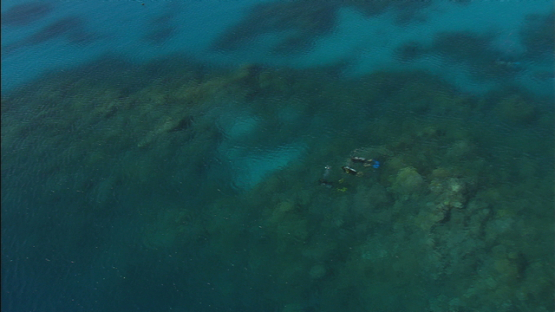 Aerial view of scuba divers underwater in the tropical sea, BoraBora, Leeward islands