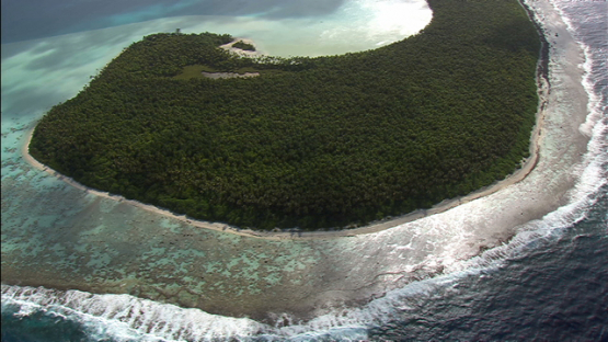 Aerial view of the barrier reef and coconut grove of Tetiaroa