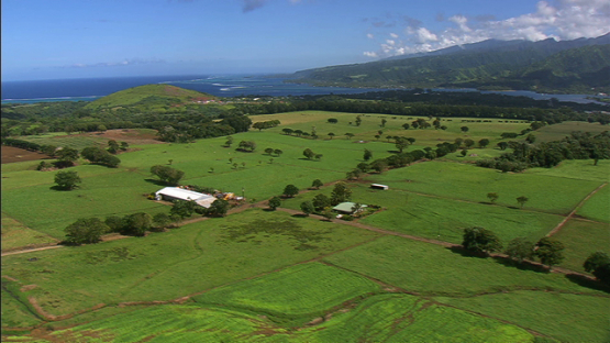 Tahiti, aerial view of fields and farm of Taravao, windward islands