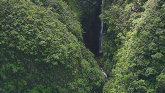 Tahiti, aerial view of the waterfall in the valley, windward islands