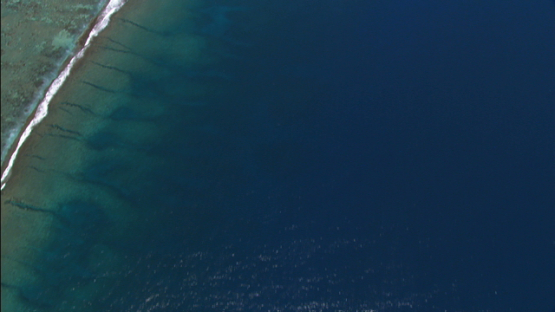 Aerial view of the barrier reef of Moorea, winward islands