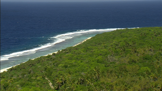 Aerial view of the coconut grove and pandanus of Maiao, by the sea, windward islands