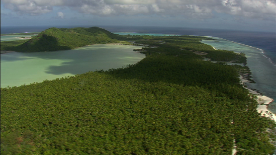 Coconut groves of Maiao, aerial view, windward islands