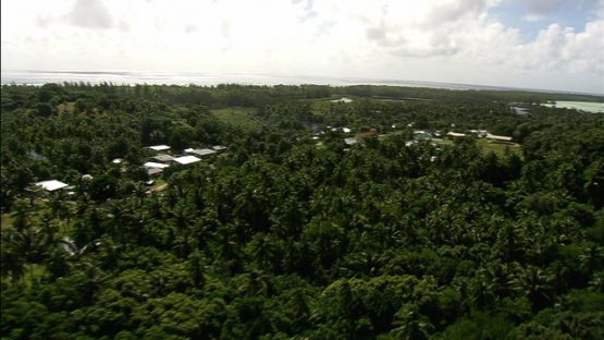 Maiao, aerial view of the village behinf the coconut trees, windward islands