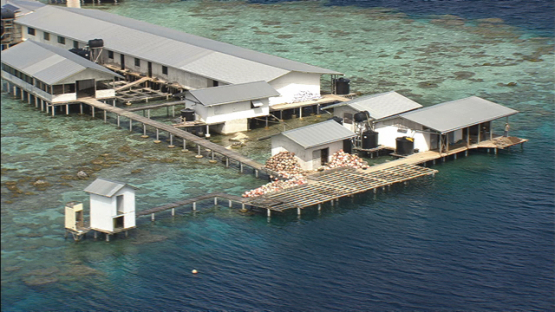 Ahe, aerial view of a pearl farm in the lagoon, Tuamotu archipelago