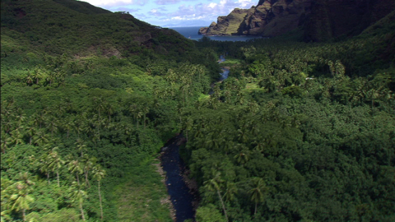 Aerial view of river in Valley Hakahui, Nuku Hiva, Marquesas islands