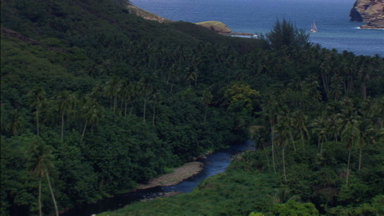 Aerial view of Valley Hakahui, Nuku Hiva, Marquesas islands