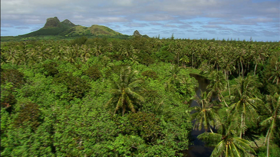 Tubuai, aerial view of the river, mountain in the background, austral islands