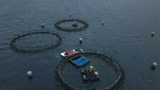 Tahiti aerial drone video, fish farming in the lagoon, french polynesia