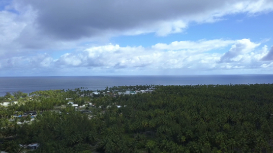 Reao, aerial drone shot of the coconut trees and village, Tuamotu, Polynesia, 4K UHD
