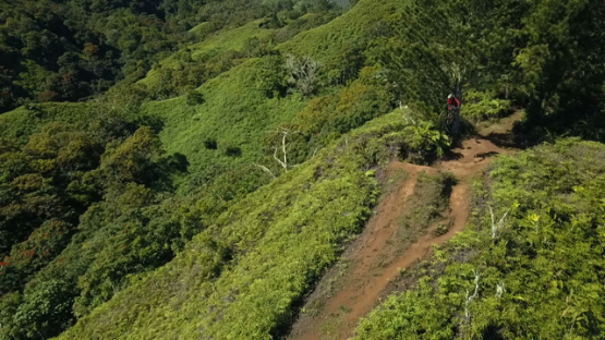 Tahiti, aerial drone video of mountain biker on the crest, Polynesia