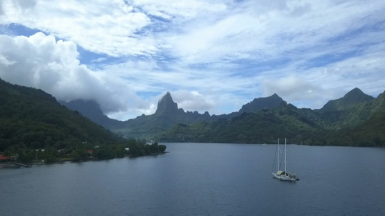 Moorea, aerial drone video of moored sailing boat in the lagoon, Polynesia