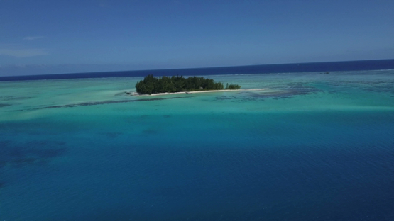 Bora Bora, aerial drone video of the island motu tapu in the lagoon, leeward island, polynesia 4K UHD