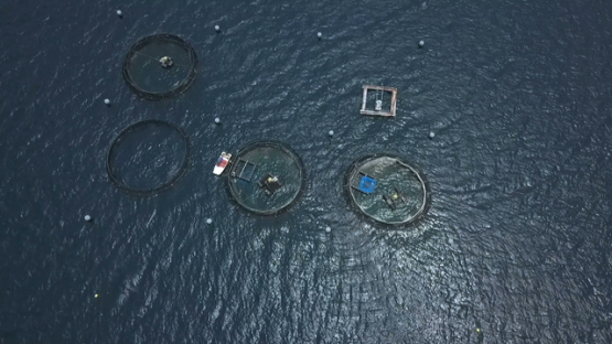 Tahiti aerial drone video, fish farming in the lagoon, french polynesia