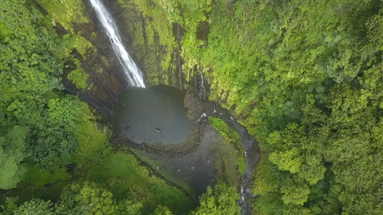 Tahiti, Aerial drone shot above a waterfall