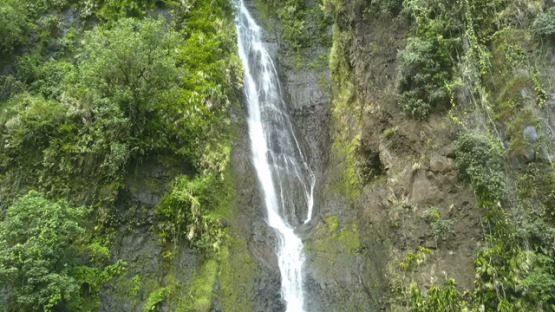 Tahiti, Aerial drone shot of waterfall