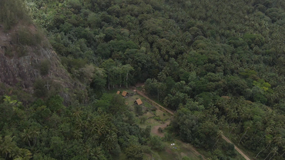 Hiva Oa aerial drone view, Tikis on the marae, statues of Puamau, Marquesas islands, 2K7