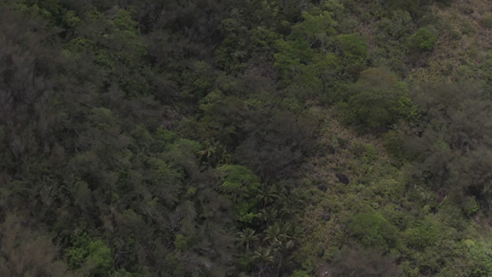 Aerial drone view of Ua Pou, above the bush and mountains, Marquesas islands, Polynesia, 2K7