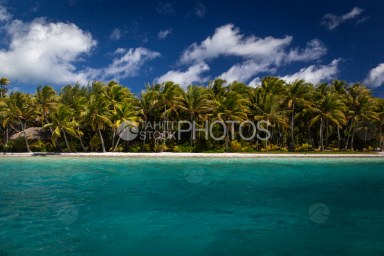 Nice view of Coconut grove and lagoon of Bora Bora