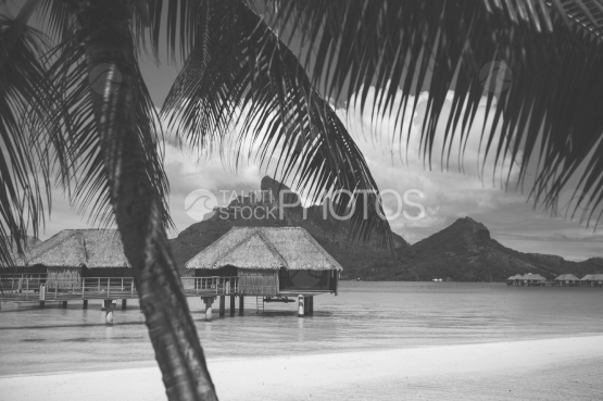 Nice view of overwater bungalows oof luxury hotel in the lagoon of Bora Bora, black and white