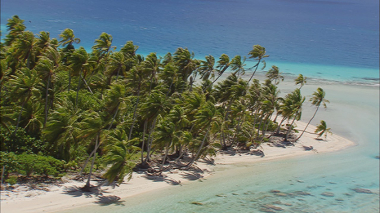 Aerial shot of  the island Tikehau, tuamotu atoll, French Polynesia