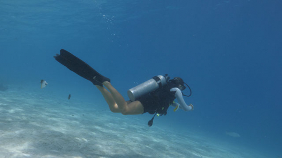 Scuba diver in the lagoon underwater, Moorea, 4K UHD