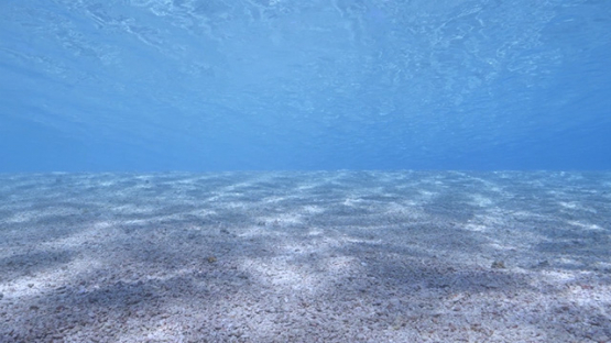 Fakarava, white sand shallow under the surface, 4K UHD