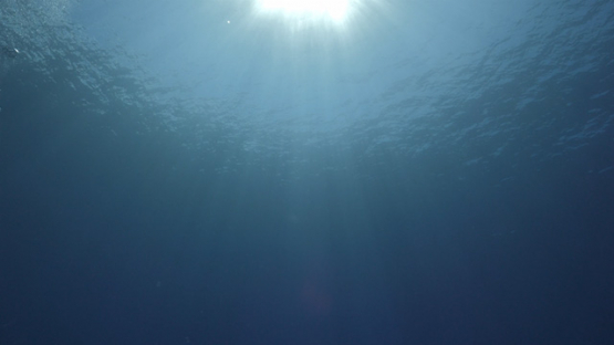 Moorea, sun rays undersea, 4K UHD