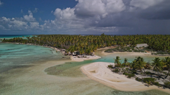 Rangiroa, aerial view of the blue lagoon and coconut grove, 4K UHD