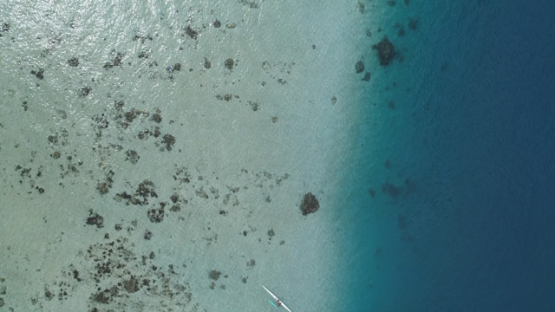 Aerial view of Tahiti, outrigger canoe in the lagoon of Punaauia, 4K UHD