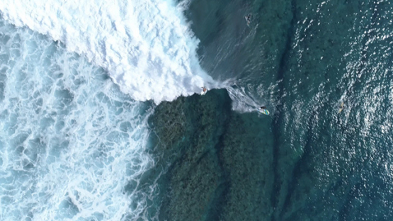 Moorea, aerial top down view of surfer in the wave of Haapiti, 4K UHD