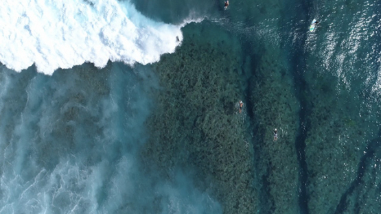 Moorea, aerial view of surfer in the wave of Haapiti, 4K UHD