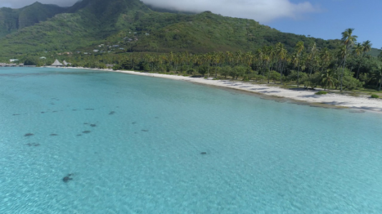 Moorea, aerial view of the beach of Temae and lagoon, 4K UHD