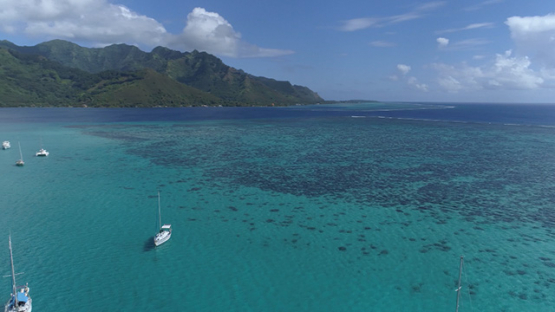 Moorea, aerial view of sail boats anchored in the lagoon, 4K UHD