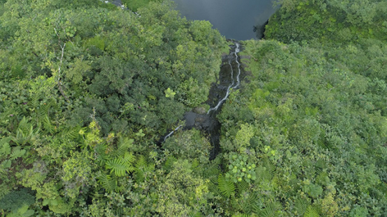 Tahiti, aerial view of waterfall near the lake Vaihiria, 4K UHD