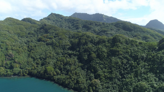Huahine, aerial view of the Mountain from bay Maroe, 4K UHD