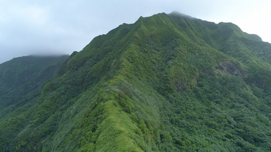 Aerial view of Raiatea island, mountain and crest of  Opoa, Taputapuatea, 4K UHD
