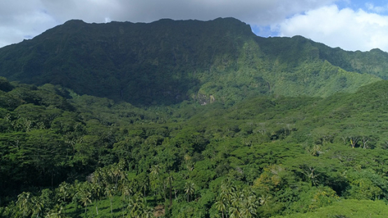 Raiatea, aerial view of the mountain Temehani, 4K UHD