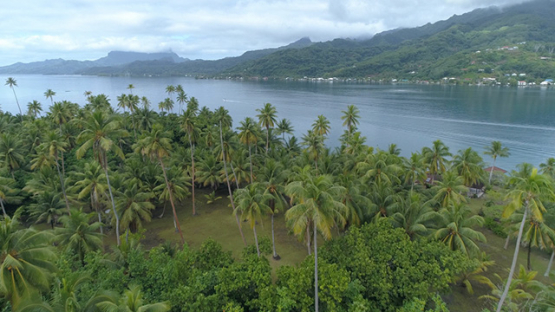 Raiatea, aerial view of the island and lagoon, 4K UHD