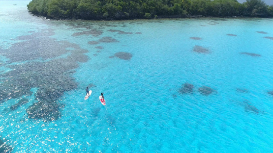 Bora Bora, aerial view of a couple of paddle boarders on the lagoon, 4K UHD