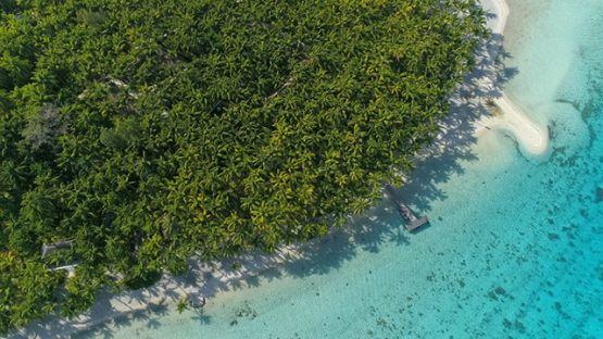 Bora Bora, aerial view above a coconut tree grove in the lagoon, 4K UHD