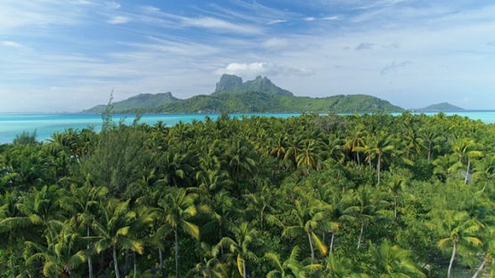 Bora Bora, aerial view of the island and coconut tree grove in the lagoon, 4K UHD