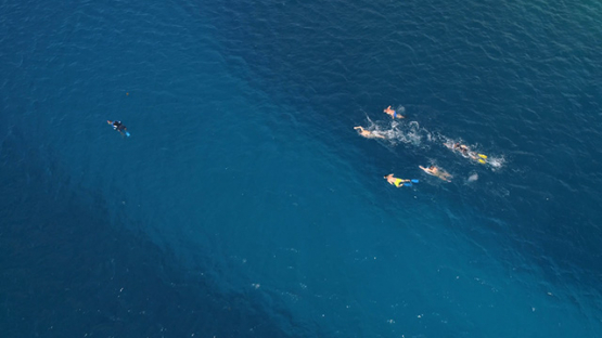 Bora Bora, aerial view of snorkelers exploring the lagoon, 4K UHD