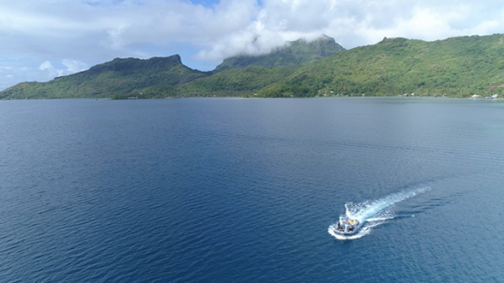 Bora Bora, aerial view of a motor boat and passengers in the lagoon, 4K UHD