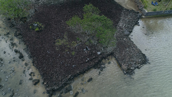 Maupiti, aerial view above the marae Vaiahu, 4K UHD