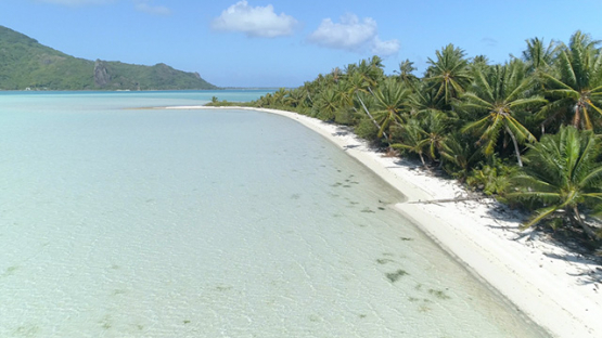 Maupiti, aerial view of the motu Tuanai along the white sand beach, 4K UHD